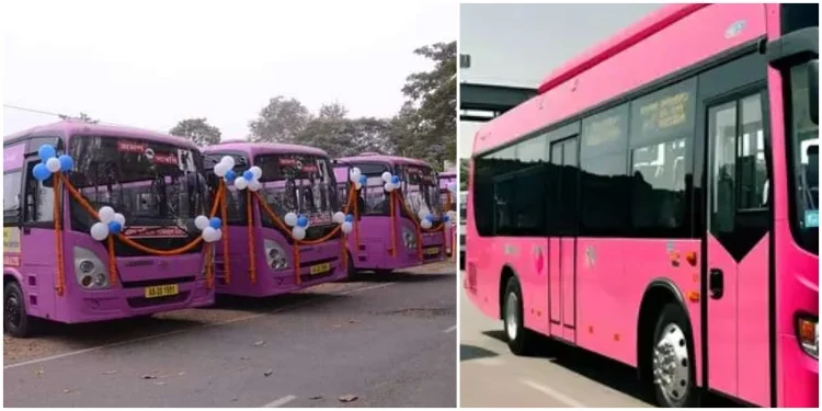 Bhagalpur Pink Bus