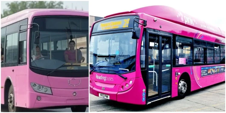 Bhagalpur Pink Bus Route Chart