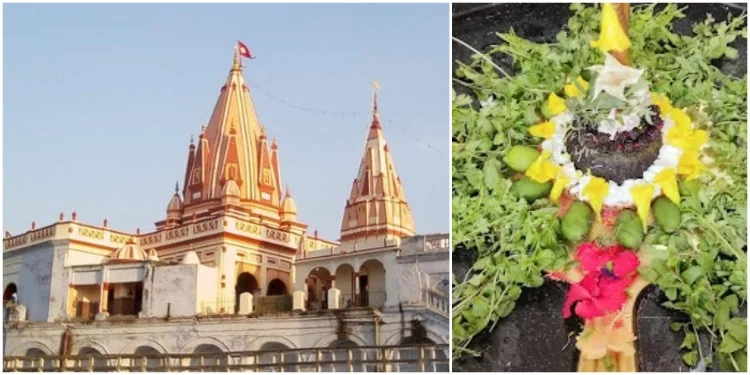 Vishal Mandir (Budhanath Temple)
