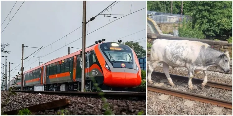 Express Trains And Livestock Related Incidents in India