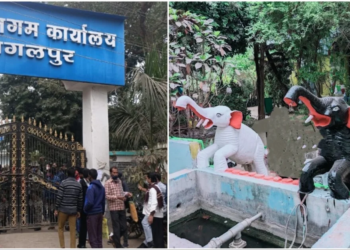 Why is the Bhagalpur Municipal Corporation Losing Revenue