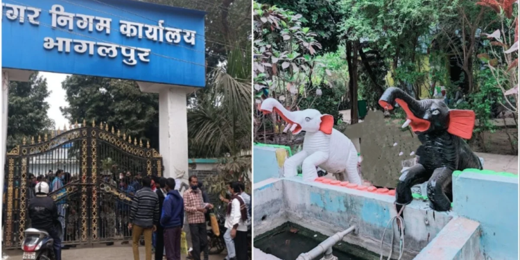 Why is the Bhagalpur Municipal Corporation Losing Revenue