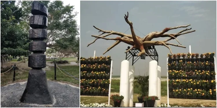 Best Art Galleries and Museums in Bhagalpur (Das Driftwood)