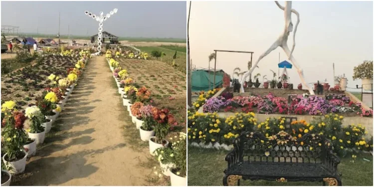 Places to Visit in Bhagalpur for Couples - Das Driftwood Museum